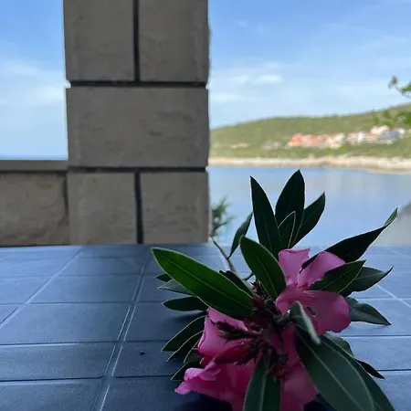 Apartment Tomic Zavalatica